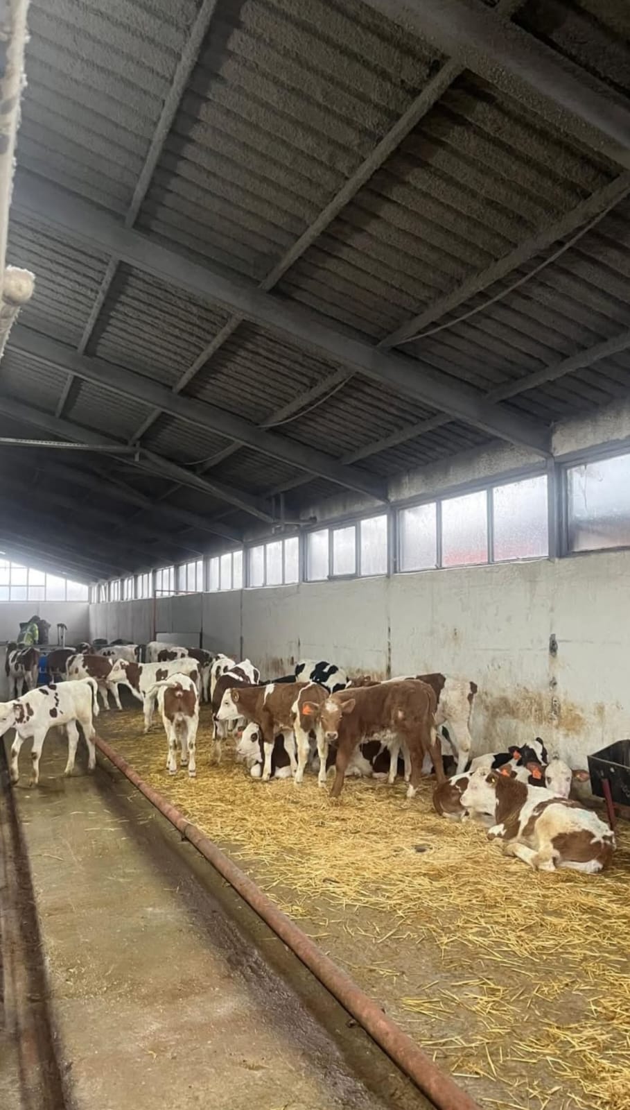 Çiçek Yalıtım Saha Uygulaması 08